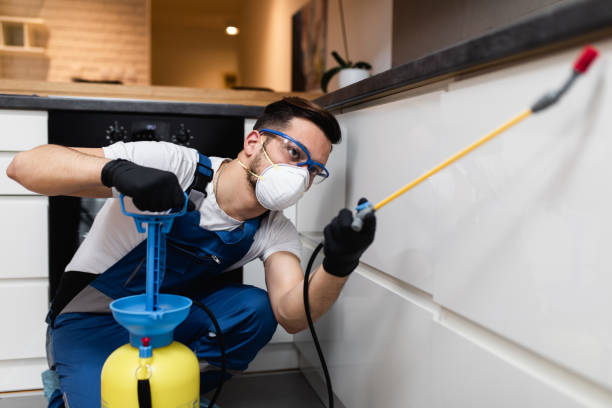 Best Pest Removal Services  in Brent, AL