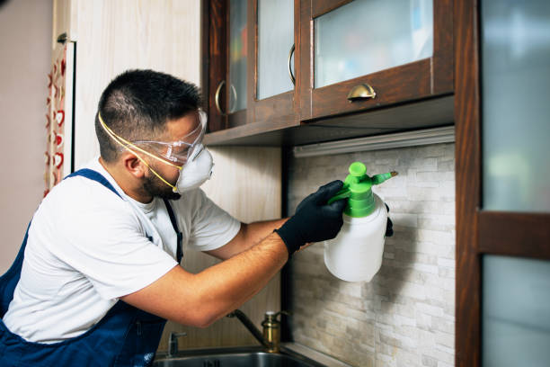 Best Flea Control Services  in Brent, AL