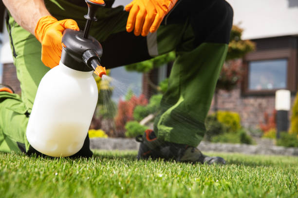 Best Cockroach Control Services  in Brent, AL