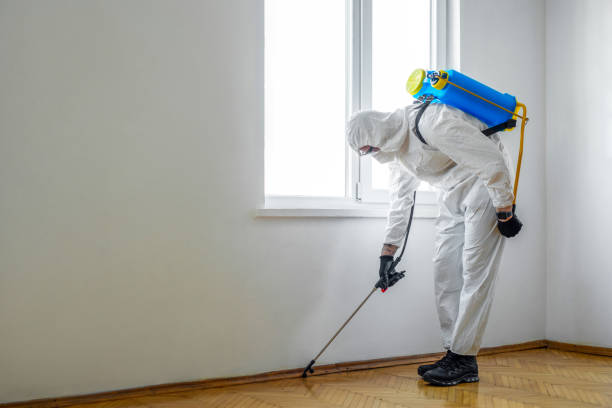 Best Residential Pest Control  in Brent, AL