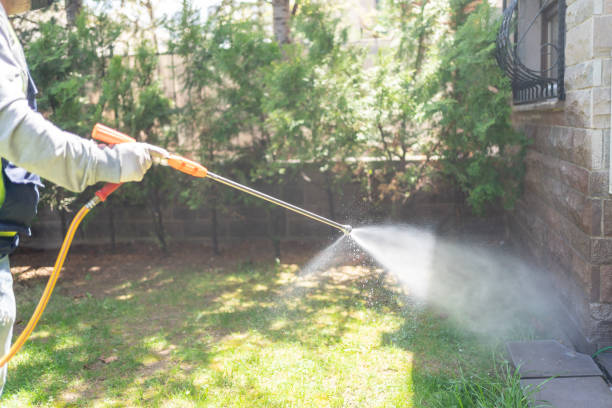 Best Bed Bug Extermination  in Brent, AL