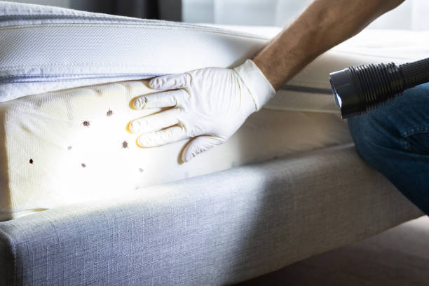 Trusted Brent, AL Pest Control Experts