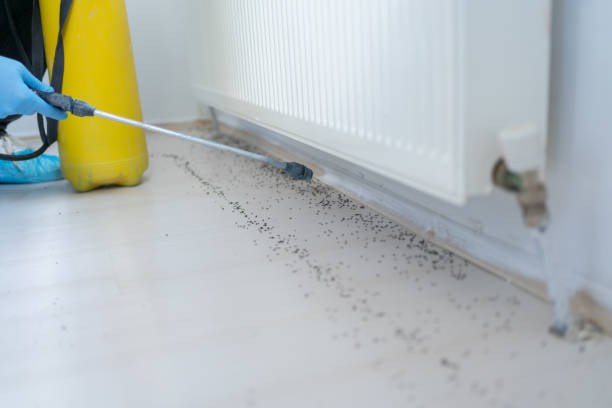 Pest Control for Restaurants in Brent, AL